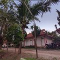 Pingdoi Resort