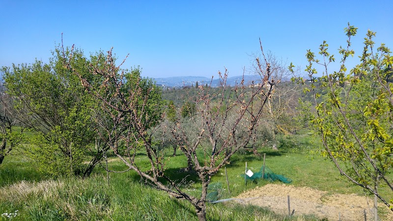 Podere Capiteto in Impruneta, Italy