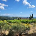 Podere Ciona