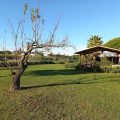 Podere Conte Novello