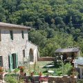 Podere Il Colto