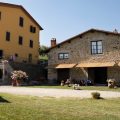 Poggio agli Ulivi