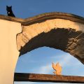 Relais Masseria della Colomba