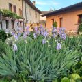 Resort Villa Manin