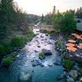 Riverhouse on the Deschutes