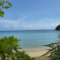 Shaw Park Beach Hotel & Spa
