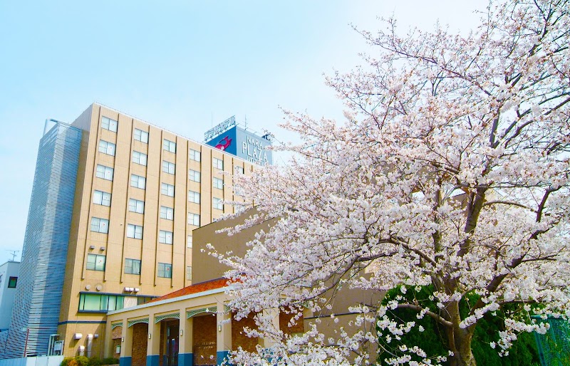 Tenri Plaza Hotel in Tenri, Japan