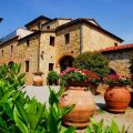 Tenuta Lupinari