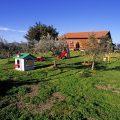 Tenuta Merlano
