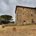 Tenuta di Vignale