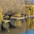 The Embankment