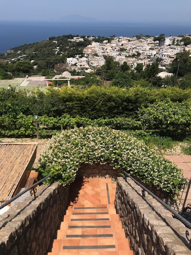 The Farm of the Sun in Cerreto Guidi, Italy