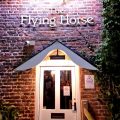The Flying Horse