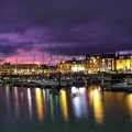The Harbour Nights