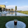 The Little Field of the Olive Trees