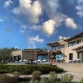 The Olive Retreat