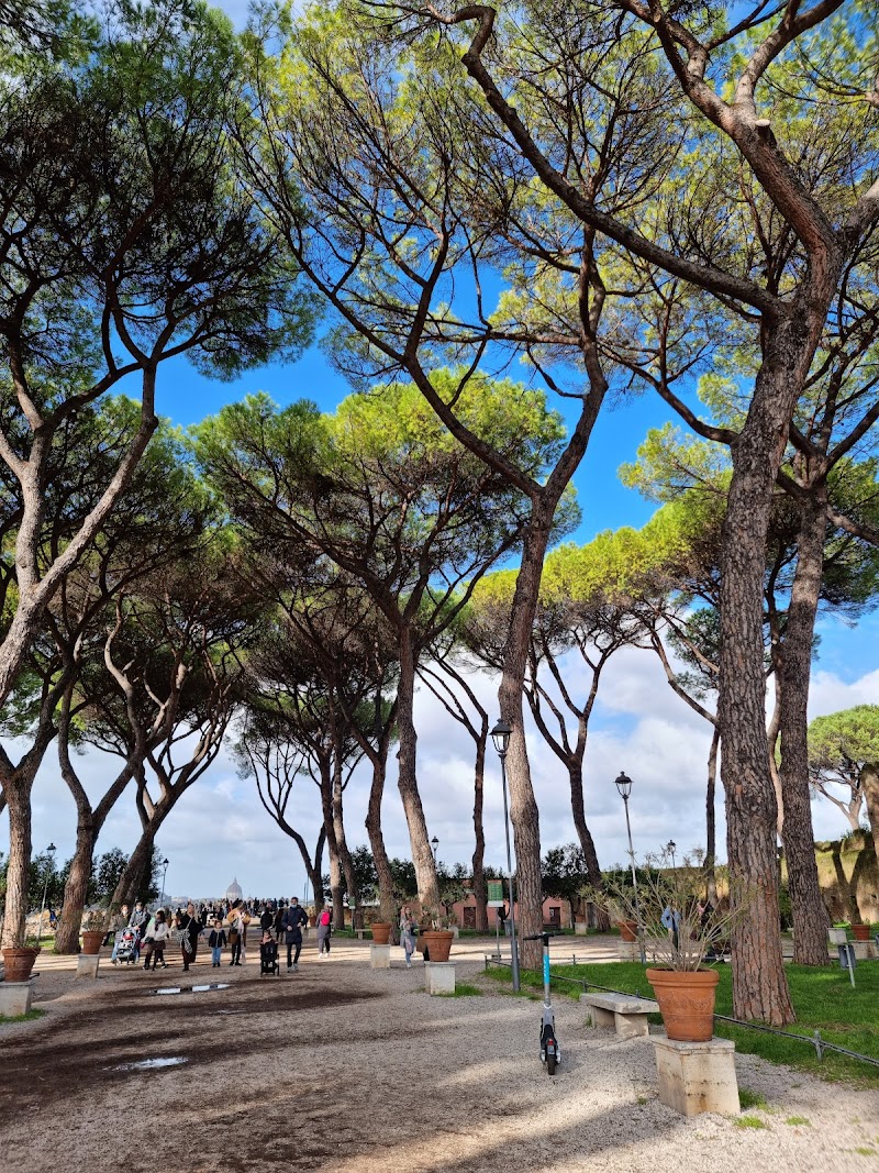 The Orange Garden in Acireale, Italy