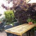 The Plough
