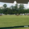 The Polo Club