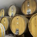 The Vineyard Escape