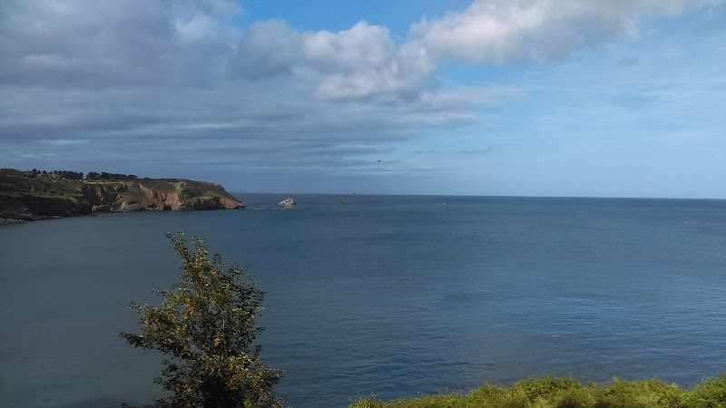 Three Elms Guest House in Brixham, United Kingdom