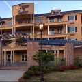Tiger Suites