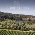 Torre a Cona