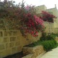Tranquility B&B