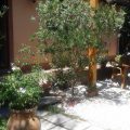 Villa Carati