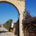 Villa Casole
