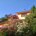 Villa Patrizia B&B
