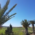 Villa Veduta