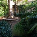 Villa delle Palme