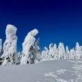 Zao Onsen Zaoen