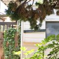 Zushi Beach House