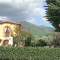 Agriturismo Bellosguardo
