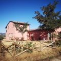 Agriturismo Il Merollo