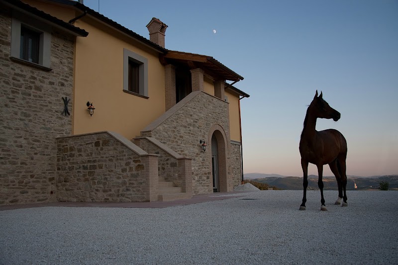 Agriturismo Il Moro in Umbertide, Italy
