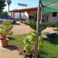 Agriturismo Il Pavone