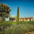Agriturismo La Bruciata