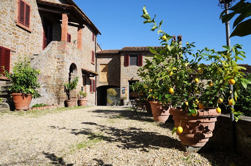 Agriturismo La Gioconda in Vinci, Italy