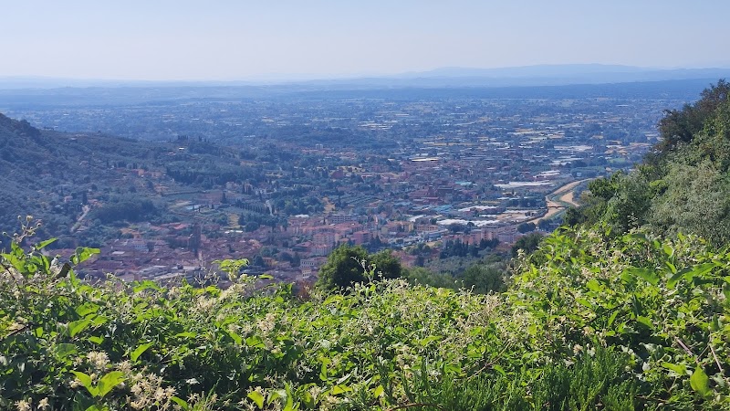 Agriturismo Le Contesse in Pescia, Italy