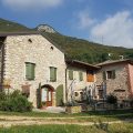 Agriturismo Lusani