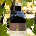 Agriturismo Poggio Salvi