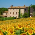 Agriturismo Valle di Ponte