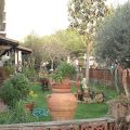 Albergo Rispescia