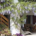 B&B Ca’ Cinel Asolo