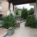 B&B Casa Bruno