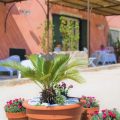 B&B Il Baglio di Kharrub