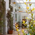 B&B Il Fiore D’Oro